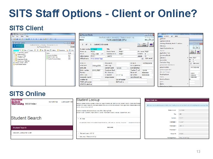 SITS Staff Options - Client or Online? SITS Client SITS Online 13 