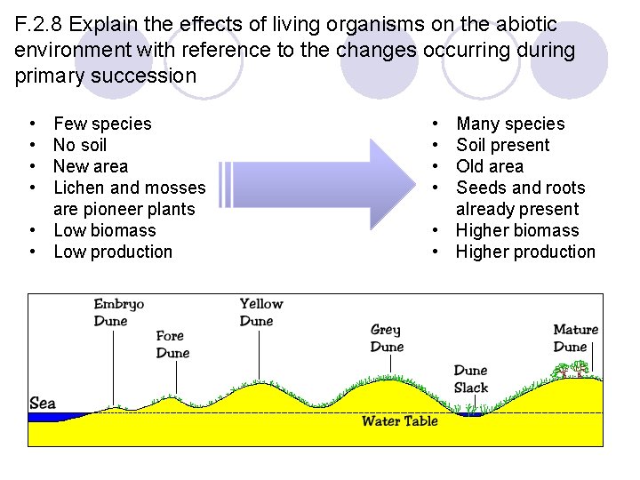 F. 2. 8 Explain the effects of living organisms on the abiotic environment with