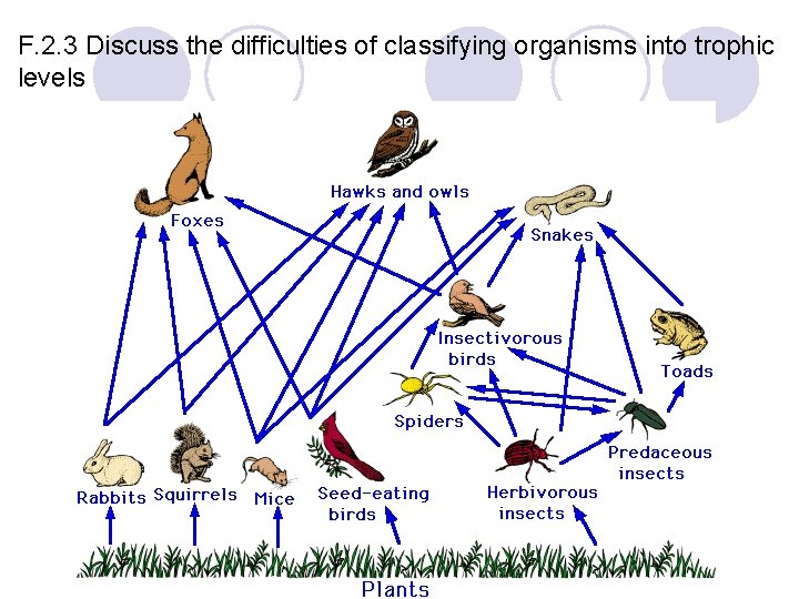 F. 2. 3 Discuss the difficulties of classifying organisms into trophic levels 