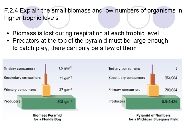 F. 2. 4 Explain the small biomass and low numbers of organisms in higher