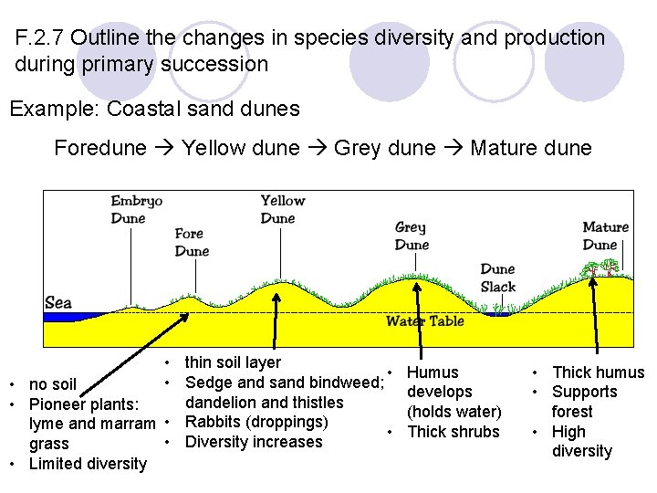 F. 2. 7 Outline the changes in species diversity and production during primary succession