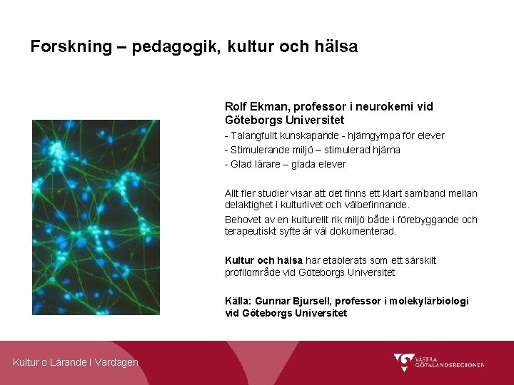 Forskning – pedagogik, kultur och hälsa Rolf Ekman, professor i neurokemi vid Göteborgs Universitet