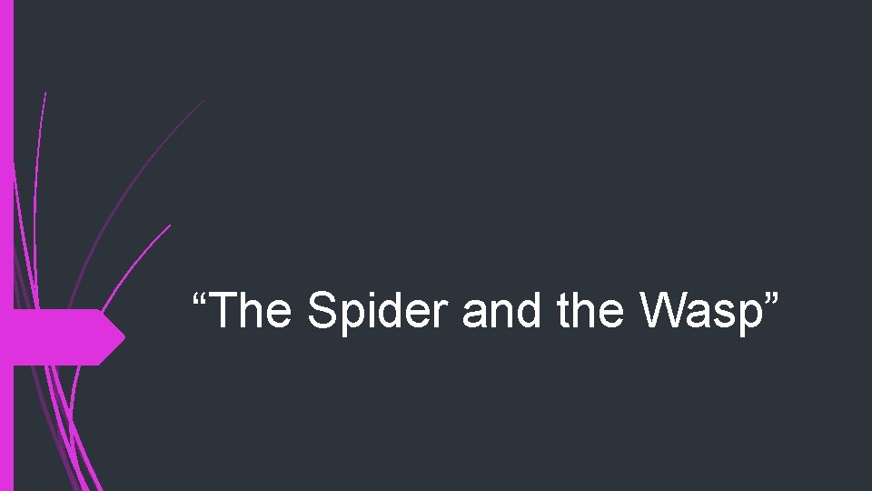 “The Spider and the Wasp” 