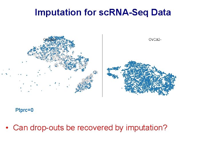 Imputation for sc. RNA-Seq Data Ptprc=0 • Can drop-outs be recovered by imputation? Imputation for sc. RNA-Seq Data Ptprc=0 • Can drop-outs be recovered by imputation?