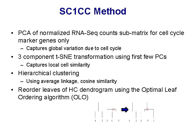 SC 1 CC Method • PCA of normalized RNA-Seq counts sub-matrix for cell cycle SC 1 CC Method • PCA of normalized RNA-Seq counts sub-matrix for cell cycle