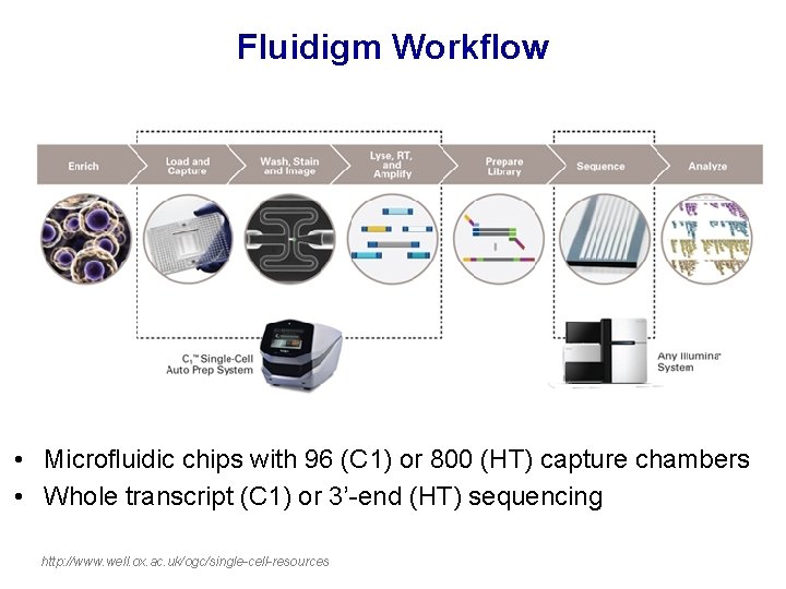 Fluidigm Workflow • Microfluidic chips with 96 (C 1) or 800 (HT) capture chambers Fluidigm Workflow • Microfluidic chips with 96 (C 1) or 800 (HT) capture chambers