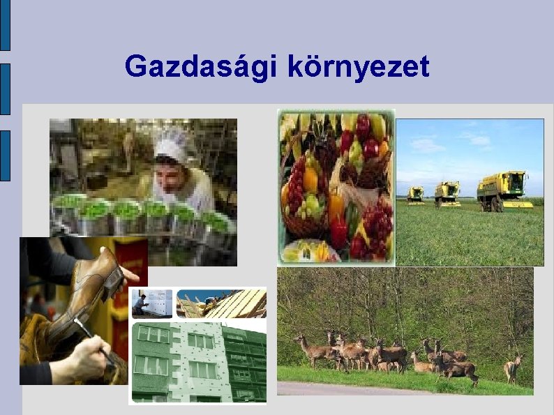 Gazdasági környezet 