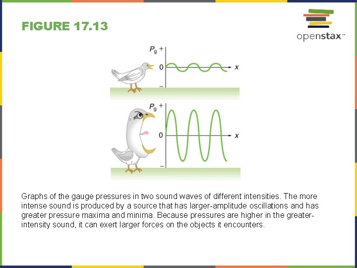 FIGURE 17. 13 Graphs of the gauge pressures in two sound waves of different