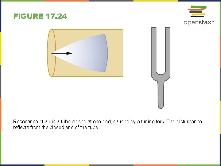 FIGURE 17. 24 Resonance of air in a tube closed at one end, caused