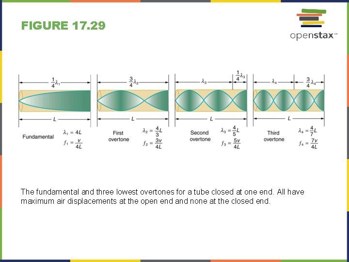 FIGURE 17. 29 The fundamental and three lowest overtones for a tube closed at