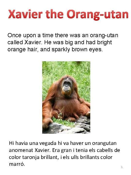 Xavier the Orang-utan Once upon a time there was an orang-utan called Xavier. He