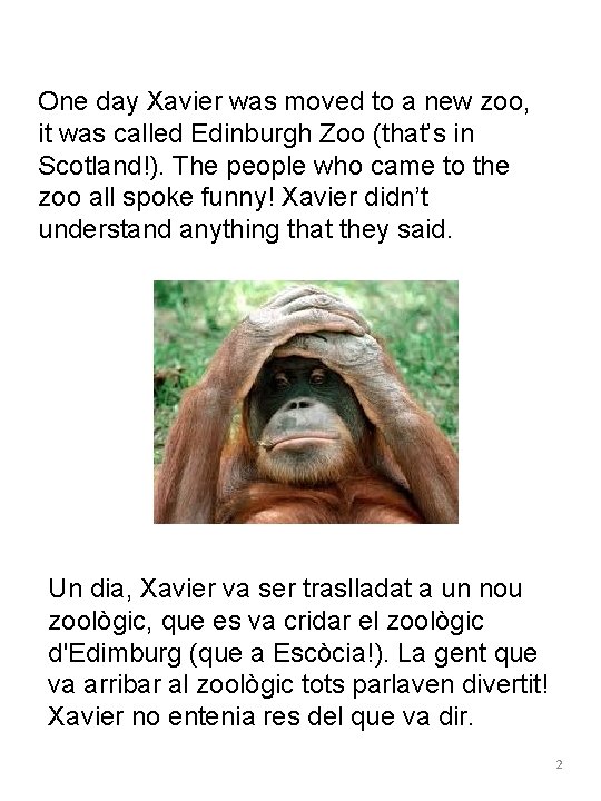 One day Xavier was moved to a new zoo, it was called Edinburgh Zoo