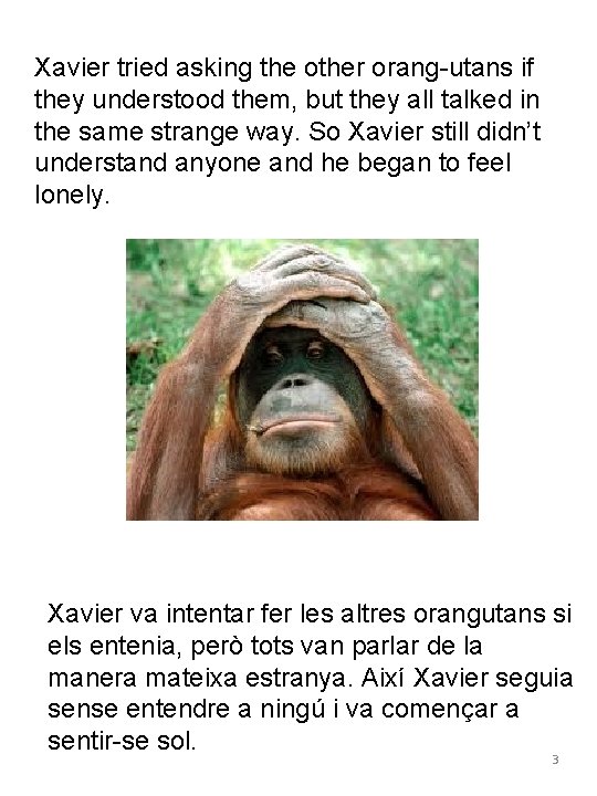 Xavier tried asking the other orang-utans if they understood them, but they all talked