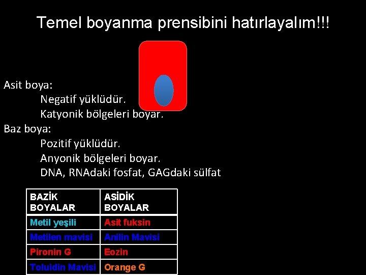 Temel boyanma prensibini hatırlayalım!!! Asit boya: Negatif yüklüdür. Katyonik bölgeleri boyar. Baz boya: Pozitif