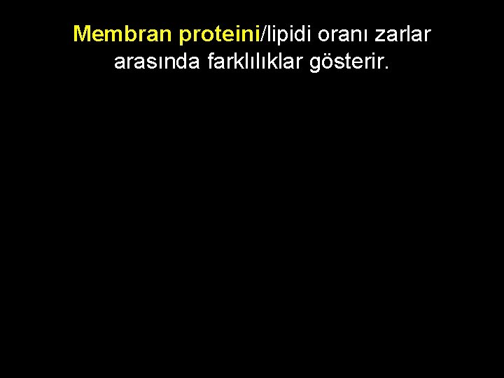 Membran proteini/lipidi oranı zarlar arasında farklılıklar gösterir. 