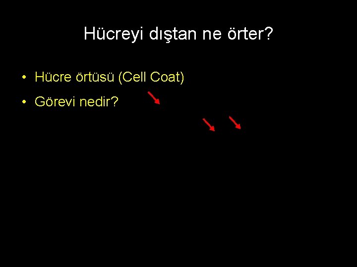 Hücreyi dıştan ne örter? • Hücre örtüsü (Cell Coat) • Görevi nedir? 