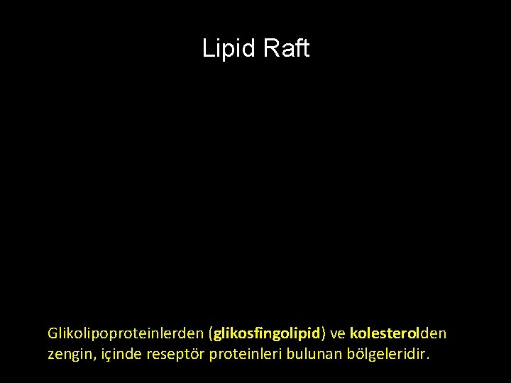 Lipid Raft Glikolipoproteinlerden (glikosfingolipid) ve kolesterolden zengin, içinde reseptör proteinleri bulunan bölgeleridir. 