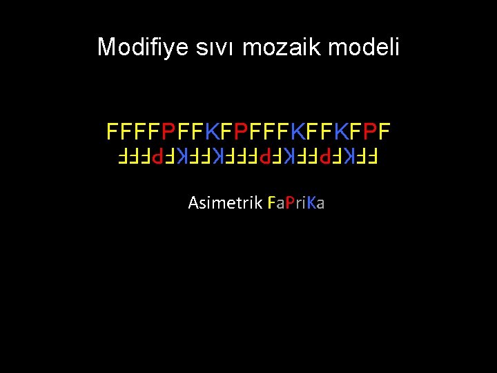 Modifiye sıvı mozaik modeli FFFFPFFKFPFFFKFFKFPFFF Asimetrik Fa. Pri. Ka 