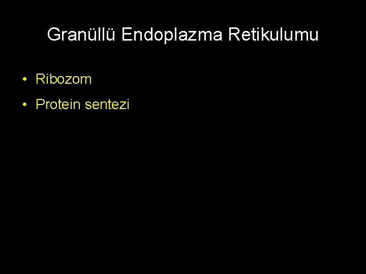 Granüllü Endoplazma Retikulumu • Ribozom • Protein sentezi 