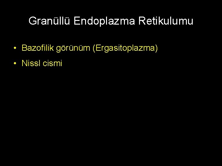 Granüllü Endoplazma Retikulumu • Bazofilik görünüm (Ergasitoplazma) • Nissl cismi 