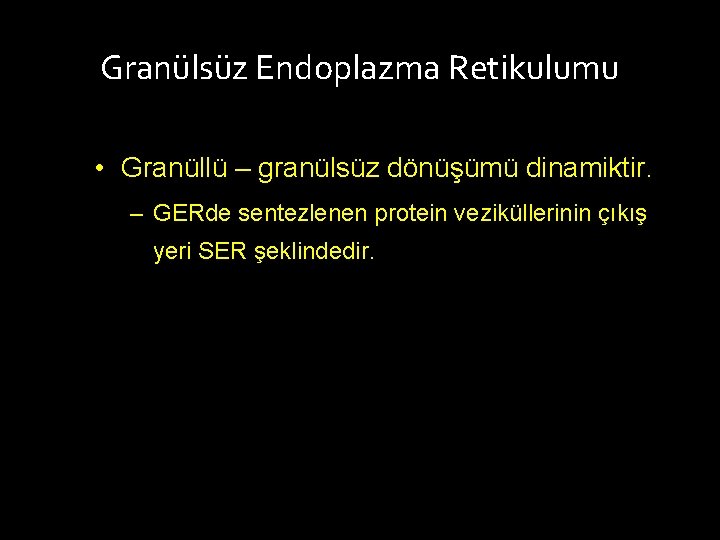 Granülsüz Endoplazma Retikulumu • Granüllü – granülsüz dönüşümü dinamiktir. – GERde sentezlenen protein veziküllerinin