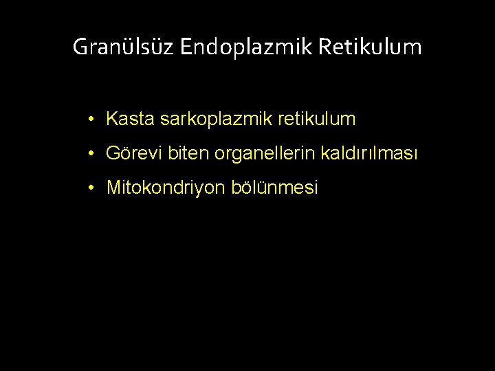 Granülsüz Endoplazmik Retikulum • Kasta sarkoplazmik retikulum • Görevi biten organellerin kaldırılması • Mitokondriyon