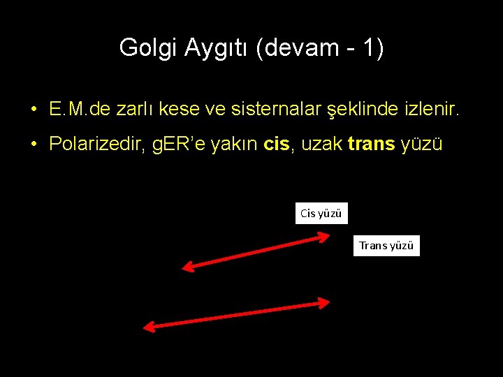 Golgi Aygıtı (devam - 1) • E. M. de zarlı kese ve sisternalar şeklinde