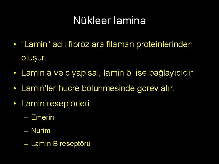 Nükleer lamina • “Lamin” adlı fibröz ara filaman proteinlerinden oluşur. • Lamin a ve