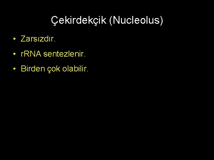 Çekirdekçik (Nucleolus) • Zarsızdır. • r. RNA sentezlenir. • Birden çok olabilir. 