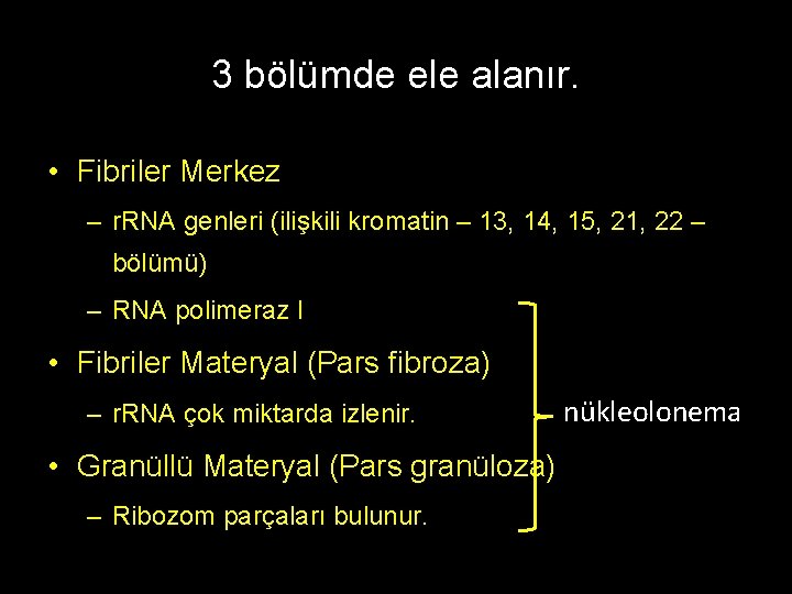 3 bölümde ele alanır. • Fibriler Merkez – r. RNA genleri (ilişkili kromatin –