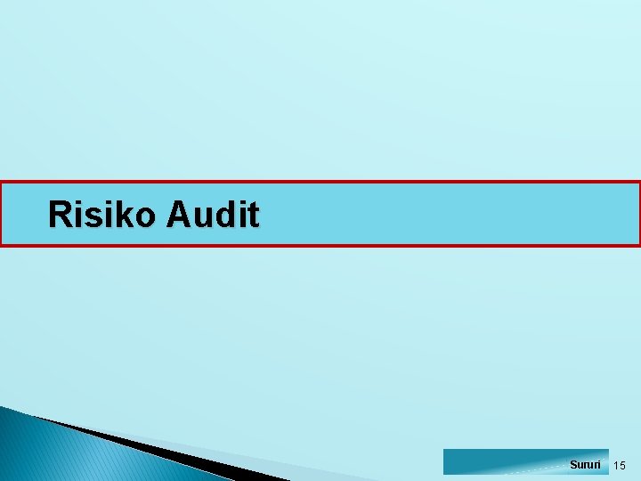 Risiko Audit Sururi 15 