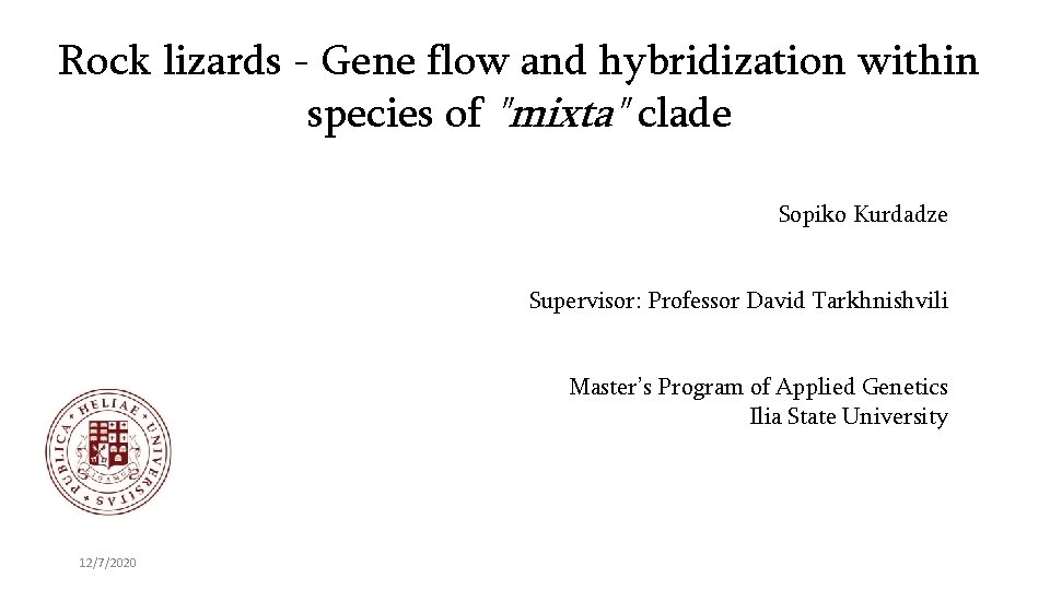 Rock lizards - Gene flow and hybridization within species of "mixta" clade Sopiko Kurdadze