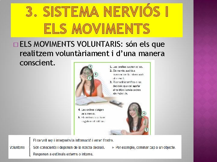 3. SISTEMA NERVIÓS I ELS MOVIMENTS � ELS MOVIMENTS VOLUNTARIS: són els que realitzem