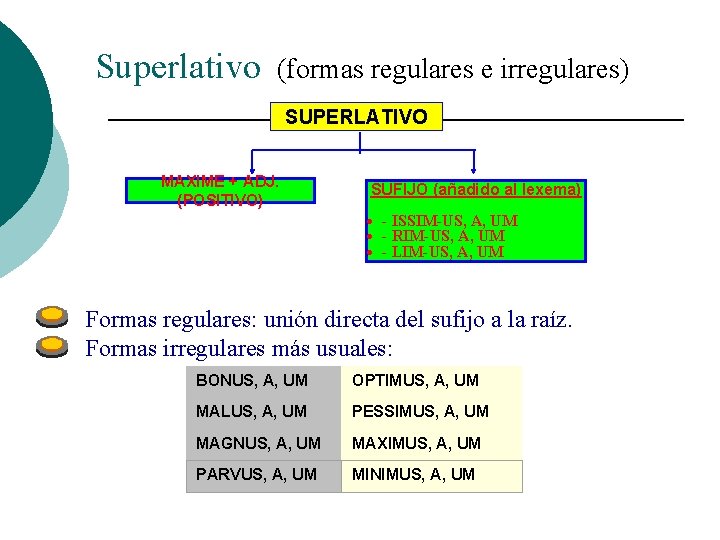 Superlativo (formas regulares e irregulares) SUPERLATIVO MAXIME + ADJ. (POSITIVO) SUFIJO (añadido al lexema)