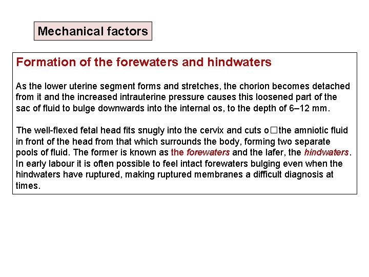 Mechanical factors Formation of the forewaters and hindwaters As the lower uterine segment forms