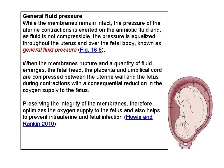 General fluid pressure While the membranes remain intact, the pressure of the uterine contractions