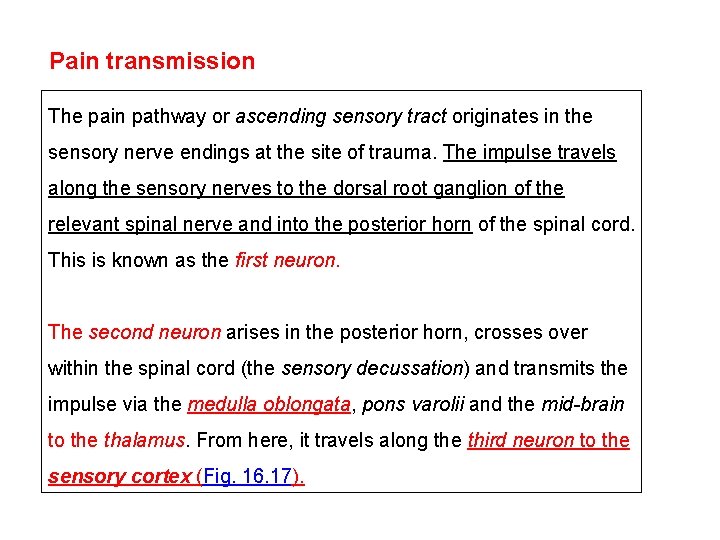 Pain transmission The pain pathway or ascending sensory tract originates in the sensory nerve