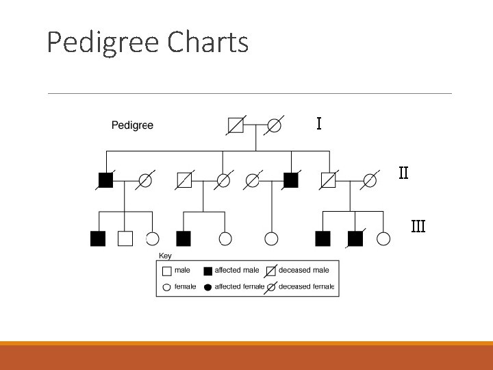 Pedigree Charts I II III 