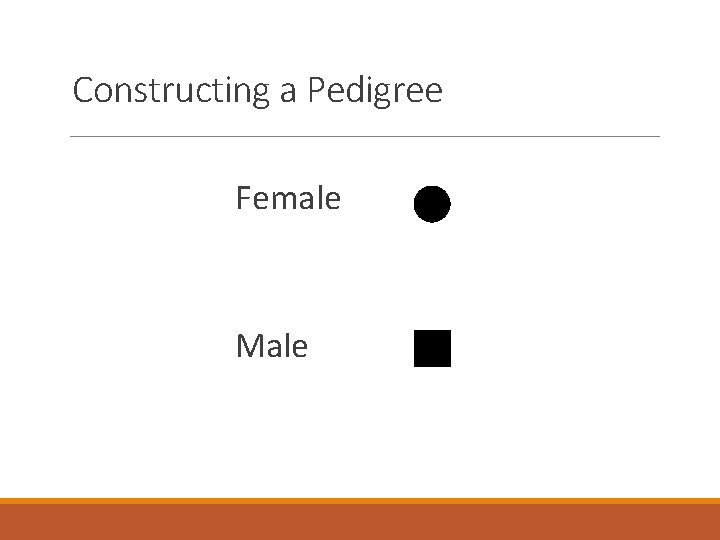 Constructing a Pedigree Female Male 