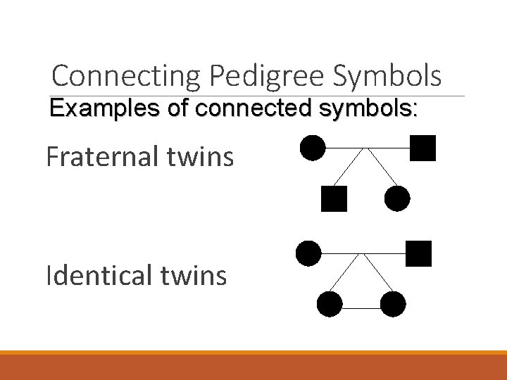 Connecting Pedigree Symbols Examples of connected symbols: Fraternal twins Identical twins 