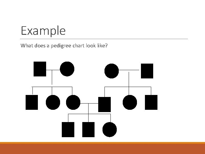 Example What does a pedigree chart look like? 