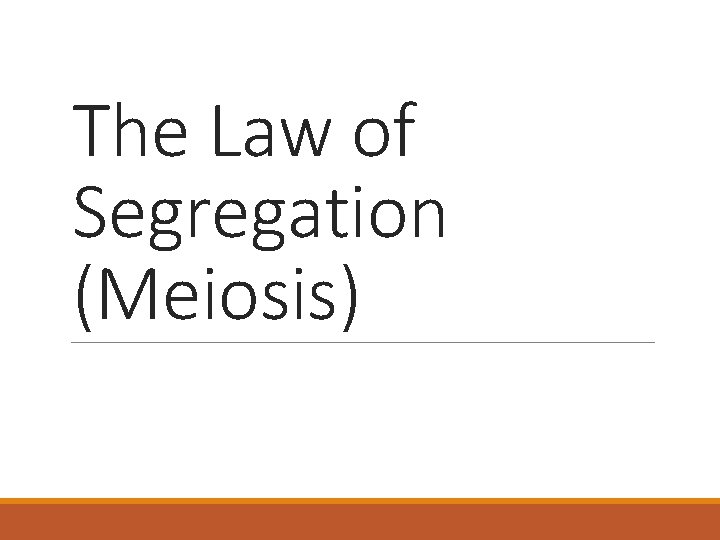 The Law of Segregation (Meiosis) 