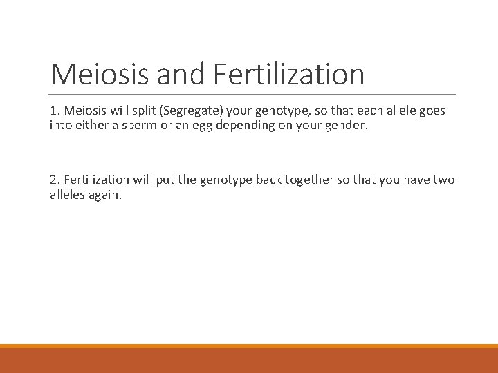 Meiosis and Fertilization 1. Meiosis will split (Segregate) your genotype, so that each allele