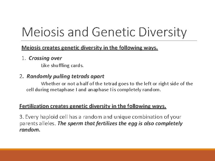 Meiosis and Genetic Diversity Meiosis creates genetic diversity in the following ways. 1. Crossing