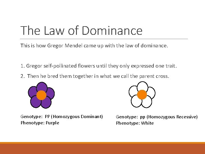 The Law of Dominance This is how Gregor Mendel came up with the law