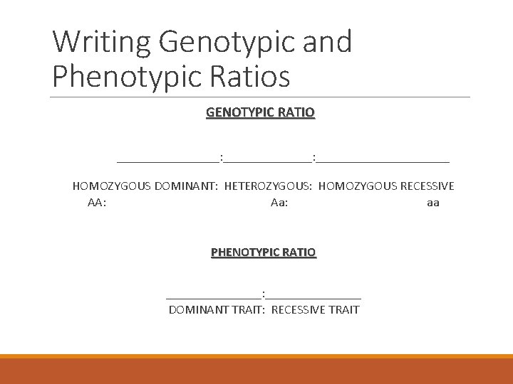 Writing Genotypic and Phenotypic Ratios GENOTYPIC RATIO ________: _____________________ HOMOZYGOUS DOMINANT: HETEROZYGOUS: HOMOZYGOUS RECESSIVE