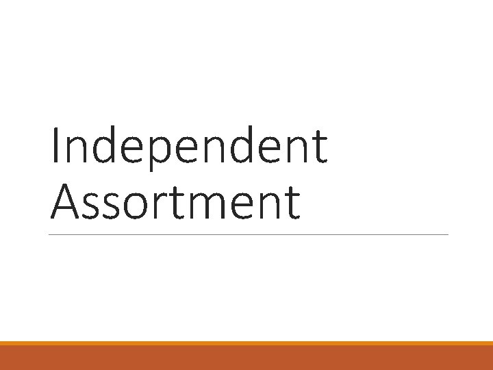 Independent Assortment 