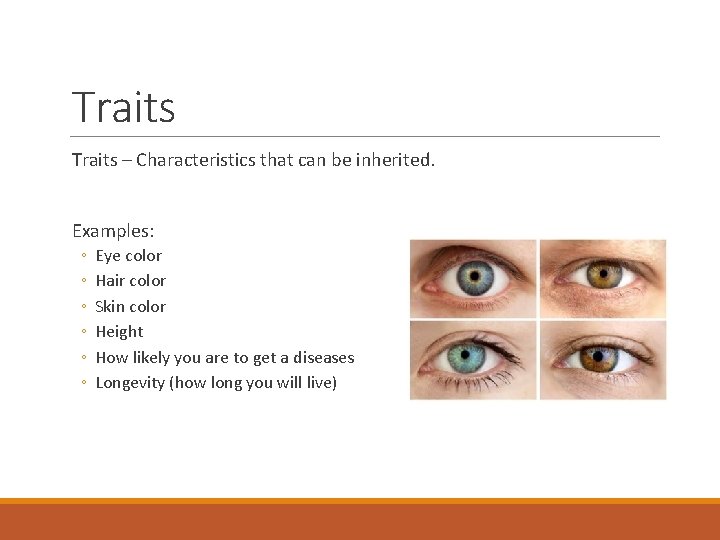 Traits – Characteristics that can be inherited. Examples: ◦ ◦ ◦ Eye color Hair