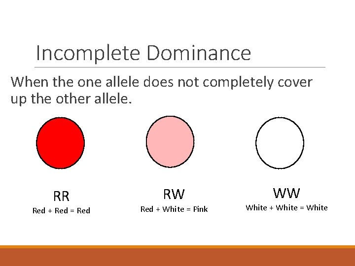 Incomplete Dominance When the one allele does not completely cover up the other allele.