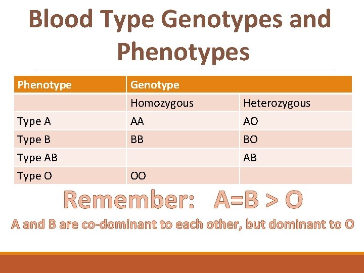 Blood Type Genotypes and Phenotypes Phenotype Type A Type B Type AB Type O